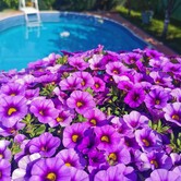 289002160_597916761612103_3056479184693356762_n