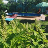 289182400_2833701776937461_2761533454824821169_n